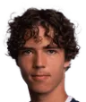 Mika Lipp