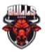 Bulls Xi logo