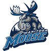 Manitoba Moose