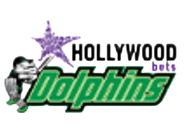 Hollywoodbets Dolphins Women logo