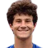 Brandon Carpico