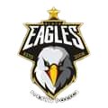 Black Eagle Sap logo