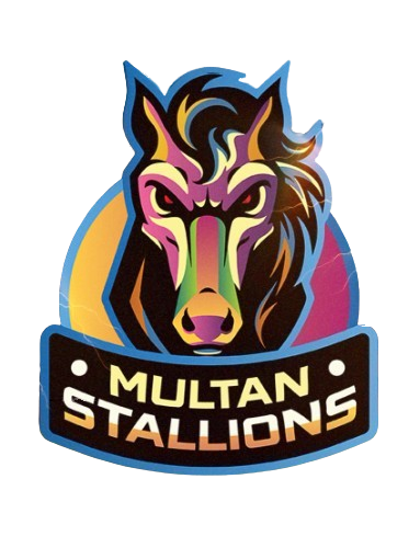Multan Stallions logo