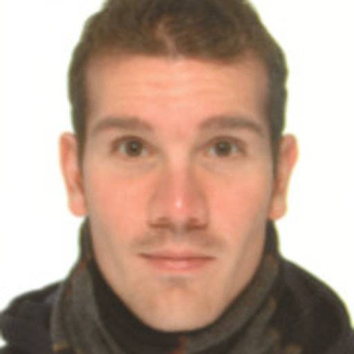 Andrea Guerrieri headshot