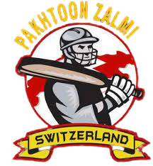 Pakhtoon Zalmi logo