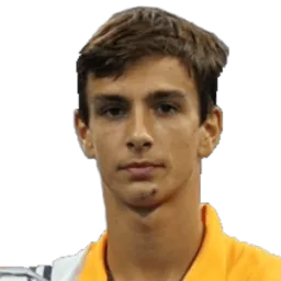 Luca Tomasetto