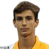 Luca Tomasetto