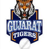 Gujarat Tigers logo