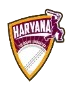 Haryana T10 logo