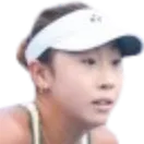 Zhang Ziye