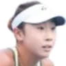 Zhang Ziye