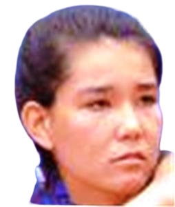 Julia Konishi Camargo Silva headshot