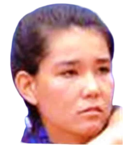Julia Konishi Camargo Silva
