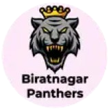 Biratnagar Cricket logo