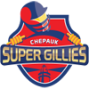 Chepauk Super Gillies
