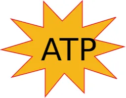 ATP Challenger Moscow, Russia Men Singles