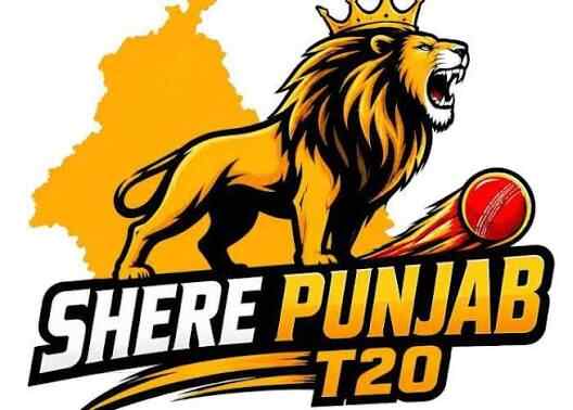 T20 Sher E Punjab League logo