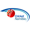 Namibia T20 Tri-Series logo