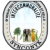 Nyong (K) logosu