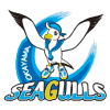 Okayama Seagulls Women