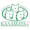 AO Kalamata logosu