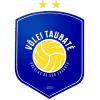 Funvic logosu