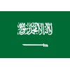 Suudi Arabistan U20 logosu