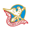 TJ Sokol Dobrichcvice logosu