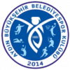 Aydin Buyuksehir Belediye Spor logosu
