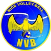 Nice logosu