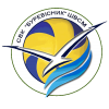 Burevisnyk logo