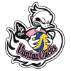 Vantaa Ducks logosu