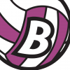 Brezovica logosu