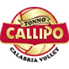 Vibo Valentia logosu