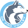 PRO Volley logosu