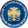 Diyarbakır B.Şehir Bld. (K) logo